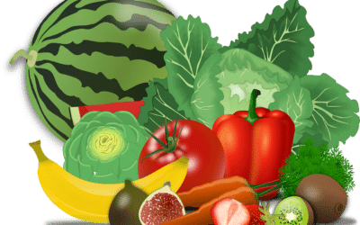 Gesunde Faszien: Welche Rolle spielt die Ernährung?